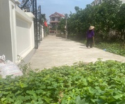 Mình cần bán đất tráng việt, mê linh - alo mình -chính chủ mình luôn
