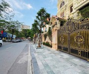 Mặt Phố Nguyễn Thị Thập Đỗ Quang 215M2 Mặt Tiền 13M 130 Tỷ Vỉa hè rộng