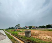 Bán đất phân lô khu Hội Thịnh, Tam Dương, Vĩnh Phúc. DT 100m2 giá 2.2 tỷ