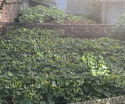 Bán đất sẵn sổ mặt tiền trung tâm xuân mai-chương mỹ
