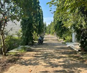 Bán đất đồi 61, dân cư đông, giá tốt, ngay tổng kho miền đông 620ha