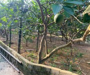 Lô đất vị trí đẹp- giá đầu tư chính chủ cần bán nhanh lô đất tại huyện chương my, tp hà nội