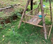1 Chủ gửi vườn sầu bể ngộp