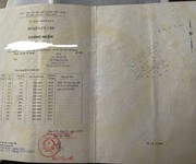 Chính chủ bán đất nông nghiệp mặt tiền Tỉnh Lộ 7 - Huyện Củ Chi