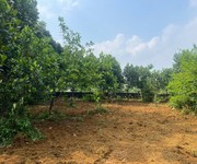 Đất đẹp - giá tốt - cần bán nhanh lô đất vị trí đắc địa tại thủy xuân tiên,huyện chương mỹ