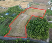 Chính chủ - cần bán đất lớn gần biển, khu công nghiệp xã láng dài, huyện long đất, bà rịa - vũng
