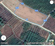 Bán lô đất đẹp 2978m2  1300m2 thổ  xã láng dài, đất đỏ, bà rịa