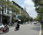 Bán nhà mặt phố đào tấn, ba đình - 43m  x 7t thang máy - vỉa hè rộng - kinh doanh - 36 tỷ