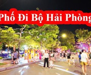 Bán nhà lô góc 2 kinh doanh buôn bán mặt đường quang trung, hồng bàng   trung tâm thành phố hải