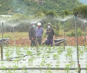 Cần bán đất thôn phú nhuận- xã mỹ sơn- huyện ninh sơn- tỉnh ninh thuận