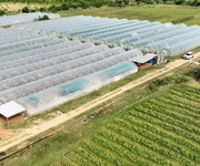 2 Cần bán đất thôn phú nhuận- xã mỹ sơn- huyện ninh sơn- tỉnh ninh thuận