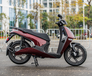 6 VinFast Theon S 2025 -