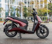 4 VinFast Theon S 2025 -