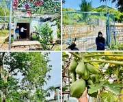 Bán nhà vườn cách biển nha trang 5km, cách ql1a vài chục mét.  sổ hồng 1.524m2 quy hoạch full