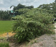 Bán đất full thổ cư, đường betong, p3 kiến tường loang an