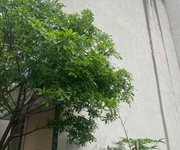 Hiếm đất dv ba la, quang trung,hầ đông,50m2 giá nhỉnh 10 tỷ