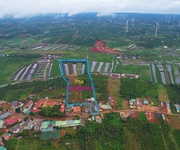4 Chính chủ bán 7ha đất sẵn sổ giá tốt tại đăk song