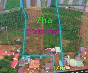 3 Chính chủ bán 7ha đất sẵn sổ giá tốt tại đăk song