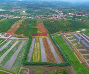 1 Chính chủ bán 7ha đất sẵn sổ giá tốt tại đăk song