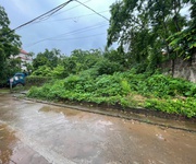 Bán gấp 46m tam thuấn, phúc thọ. ô tô đỗ tại đất. giá 4x nhỏ