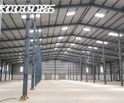 Cho thuê hoặc bán đất thổ cư bình chánh