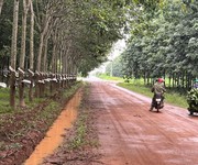 Cơ hội đầu tư sinh lời