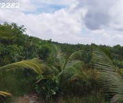 Bán đất vườn mặt tiền, xã hòa long, lai vung, đồng tháp. 4.4ha, 22 tỷ, sổ hồng.