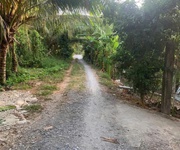 Kẹt vốn bán đất vườn sầu riêng thái cây đang cho thu hoạch  4 năm  tại thị trấn long hồ, long hồ,