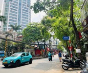 Bán nhà hoàng hoa thám, 22m2 5 tầng, ngõ thông chỉ 10m ra oto