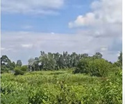 Cần bán gấp lô đất ven sông sài gòn   củ chi