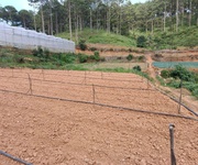 Chính chủ gửi bán lô đất đẹp 2100m  - giá chỉ 2 tỷ  tl nhẹ