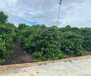Bán 21000m2   21 sào   đất nhà , ao, vườn cà phê -xã liên hiệp - đức trọng lâm đồng