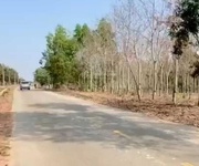 Bán đất 2 mt tân thành 43 - bắc tân uyên  btu  tp. hcm - gần kcn: btu 1, 2, 3, tân lập, tam lập