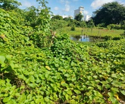 Chính chủ bán đất 2 mặt tiền vườn cây lâu năm tại phường châu phú b, tp châu đốc, an giang.