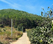 3 Bán hoặc cho thuê biệt thự 420m2 - 3pn - sát dalat, view rừng thông. lh:0909206662. 3 Bán hoặc cho thuê biệt thự 420m2 - 3pn - sát dalat, view rừng thông. lh:0909206662.