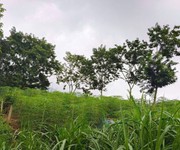 Hàng mới tinh  - chủ bán gấp 2 lô đất tiềm năng tại xã minh quang, hà nội