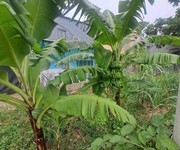 1 Đất 2 mh 137m2, tách thửa ok   an phú đông 9 q12