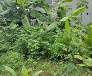 48m2 đất đấu giá ao ngòi xã hoài đức