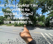 Đất mặt tiền huỳnh thị na hóc môn tp.hcm 1973m2 có 16,5 tỷ