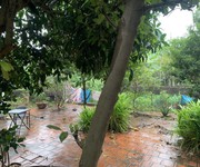 Cần bán-438M2ddaats-Nguyễn Khoái Hoàng Mai-30M ra phố-ô tô vào đất-full thổ cư-giá đầu tư