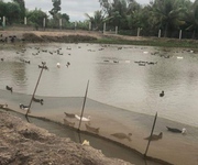 4 Bán lô đất thổ phân lô mặt tiền đê bao giá 7,5 tỷ