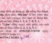 Kẹt tiền bán gấp đất thổ 986m  mặt tiền đông hưng thuận 10b, q12   giảm sâu 6t