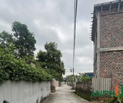 1 Cần bán 100m2 đất phường Lê Ích Mộc  xã Chính Mỹ  , TP Hải Phòng