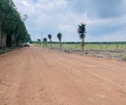 250 triệu   1000m  đất ngay đường xuyên tâm đồng phú