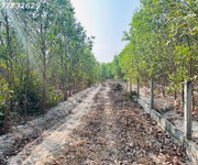 Bán 1000m2 đất tân bình, lagi giá rẻ chỉ 1 tỷ, sổ riêng gần phạm thế hiển