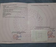 Lô đất vị trí đẹp   đầu tư là sinh lời chính chủ cần bán nhanh lô đất tại quận hà đông, tp hà nội