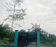 Đất nở hậu đường 8m thông 1851m2   cây gỗ cc