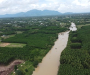 Bán 2000m2 đất tân bình - tx lagi view sông dinh giá rẻ chỉ 1 tỷ/ sào