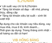 Mừng sinh nhật 20 năm vib hồng bàng  số 14 võ nguyên giáp, an biên, hải phòng