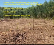 Chính chủ bán 16ha đất 4 mặt tiền tại xã tân phúc, huyện hàm tân, bình thuận. giá chỉ 230k/m2